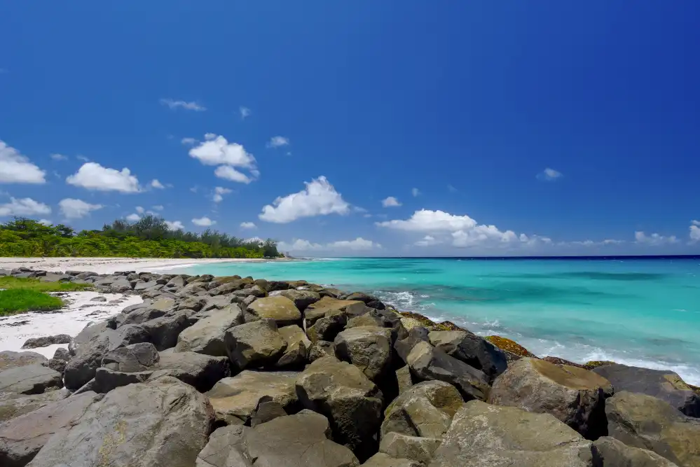 Barbados 2 - Thumb